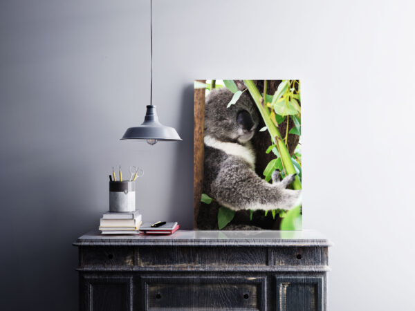 tableau 40x60 koala