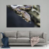 Tableau de Serpent BOA CONSTRICTEUR sur support alu